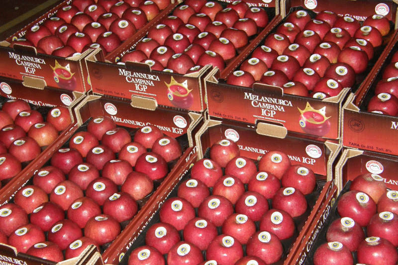 Apple Annurca, королева ябло ...