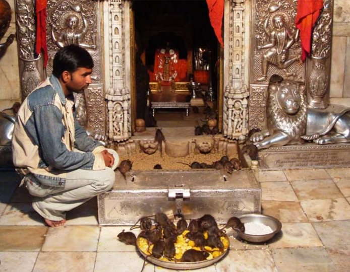 Mata Karni An Teampaill