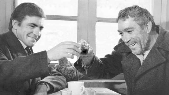 The True Origins of Zorba: Unveiling the ...