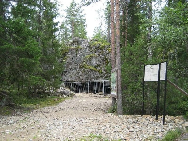 Susiluola (Mac Tíre Uaimh)