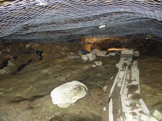 Susiluola (Mac Tíre Uaimh)
