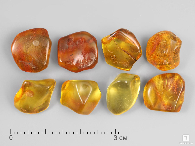 Amber Museum