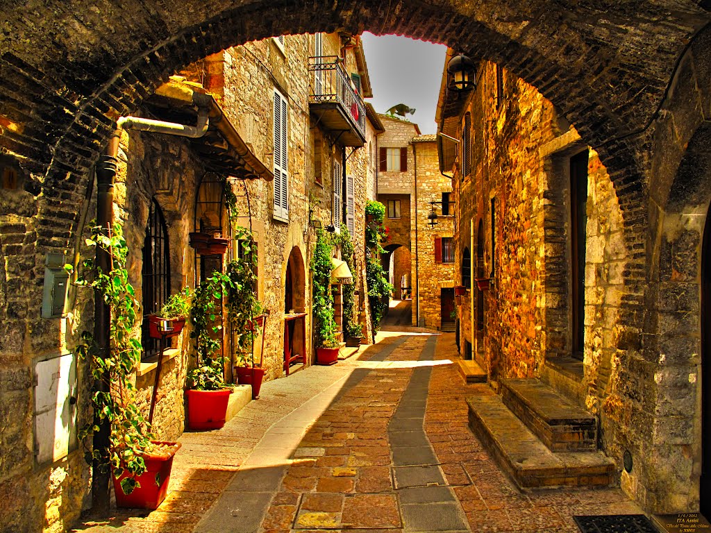 Assisi