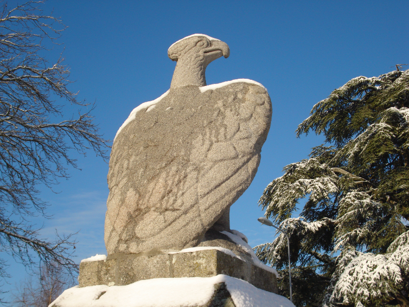 Roman eagle