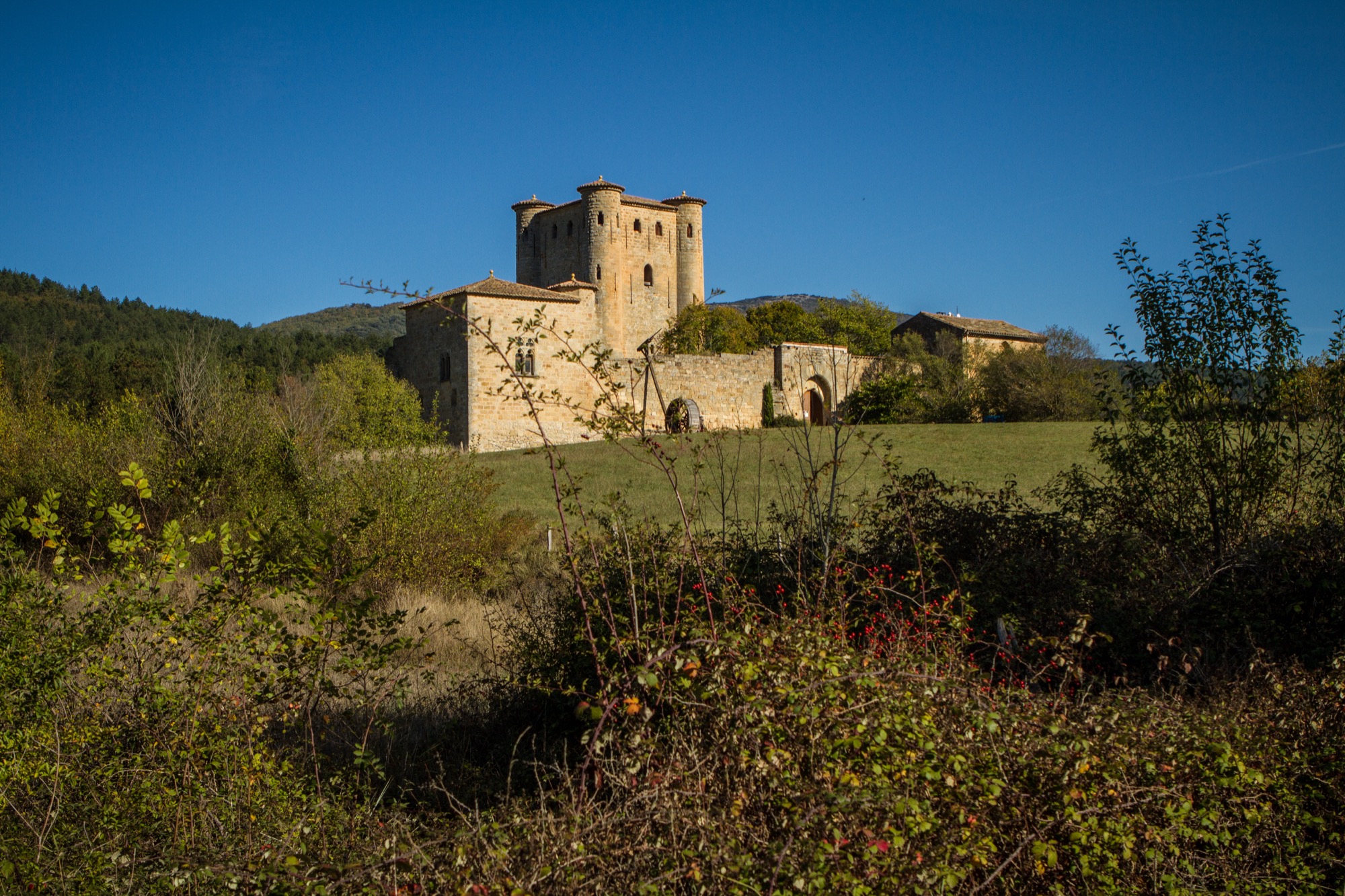 Chateau d'Arques
